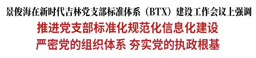 景俊海：推進黨支部標準化規范化信息化建設 嚴密黨的組織體系 夯實黨的執政根基