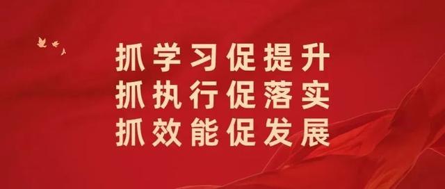 【“三抓三促”行动进行时】“三抓三促”行动在柏林镇党员干部中引发热烈反响（一）