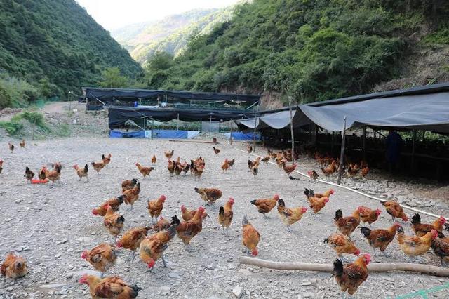 【左家動態·基層黨建】左家鄉：對照清單回頭看 傳導壓力促落實—對照基層黨建目標責任書開展“回頭看”工作