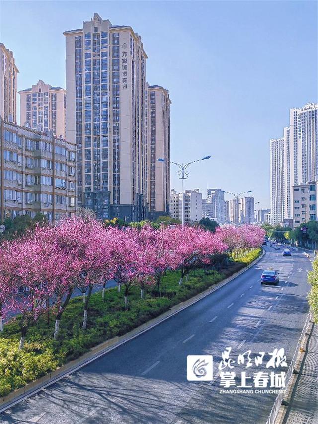 五华区城管局坚持党建引领 当好城市精细化管理排头兵（党建引领推动城市管理精细化）