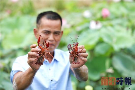 貴州天柱：發展黨員中心戶 群眾致富不愁路（黨員發展中心是干什么）