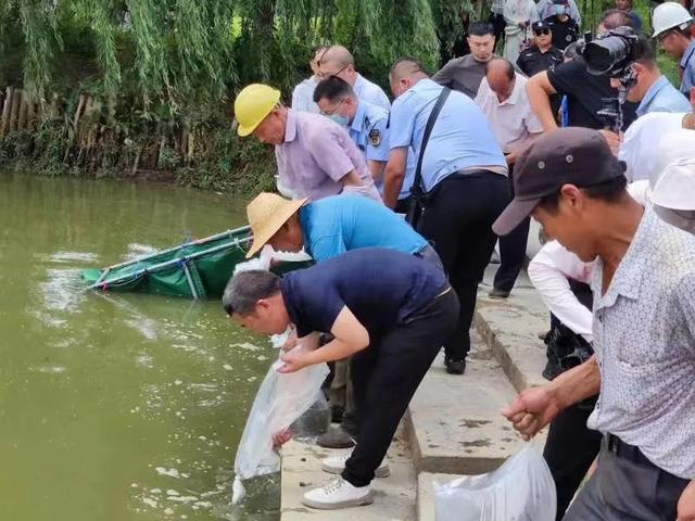 槐荫绿意映半城 宜人风景入画来——市槐荫公园管理处以党建引领推进城市公园建设