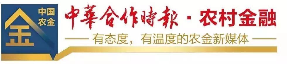 党建深度融合怎么“融”？这家农商行创新“一引领、三融合”新模式