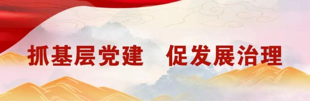 畢節：黨建引領聚合力 砥礪前行促發展（黨建引領匯聚發展合力）