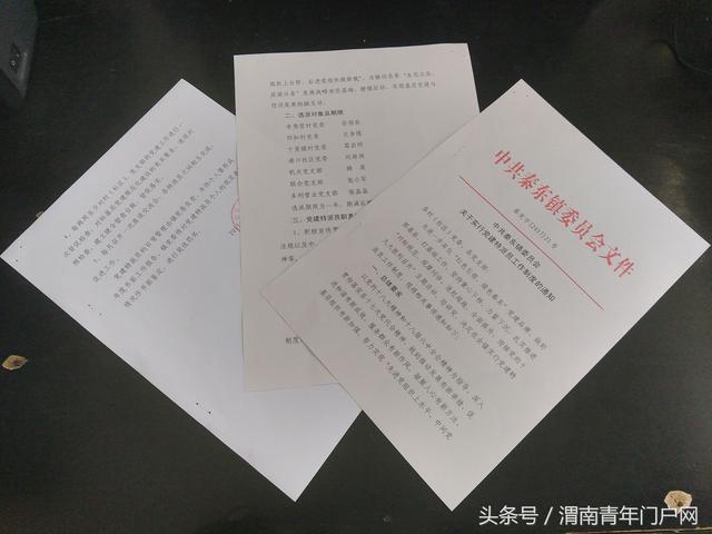 潼关县秦东镇启动实施党建特派员工作制度