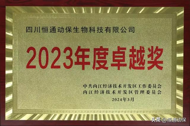 恒通受邀参加内江经开区加快发展新质生产力推动高质量发展大会