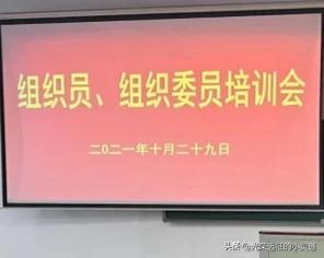 组织员是随便能设的吗？（组织员有前途吗）