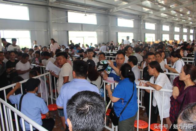 潮涌丹陽黨旗紅 黨建引領惠民生——丹陽街道辦事處抓黨建促發展惠民生工作紀實（解說詞）