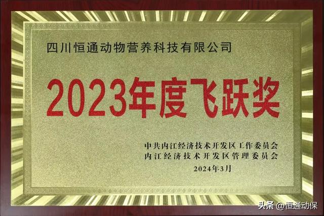 恒通受邀参加内江经开区加快发展新质生产力推动高质量发展大会