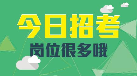 2016年深圳市大鵬新區招聘56名黨建組織員公告（2016年深圳市大鵬新區招聘56名黨建組織員公告）