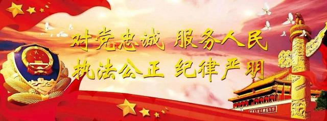 【教育整顿进行时】交警支队党总支指导检查第三党支部党建工作