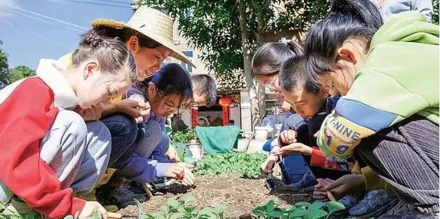 莆田：党建引领社会组织“三融三共”（党建三融入）