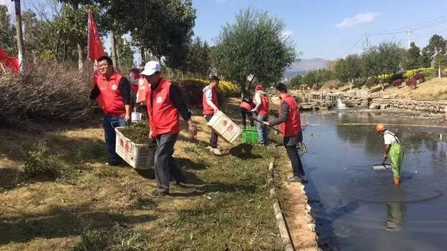 “高原湖泊卫士”行动：当城市基层党建与高原湖泊保护治理在玉溪相遇