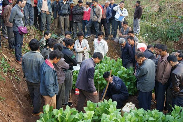 党建引领强服务 集镇管理谱新篇（党建引领 乡镇）