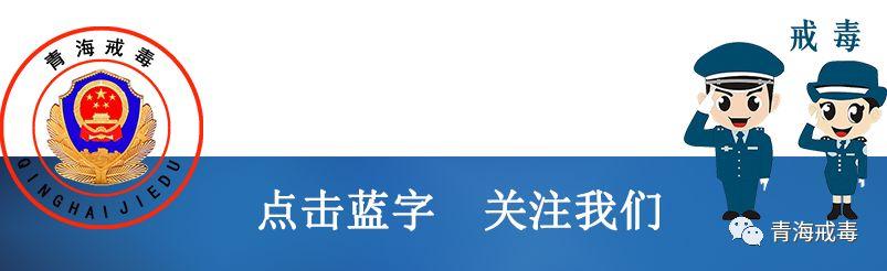 【党建知识】党支部七项组织生活制度全解析（党支部七项组织生活制度有哪些）