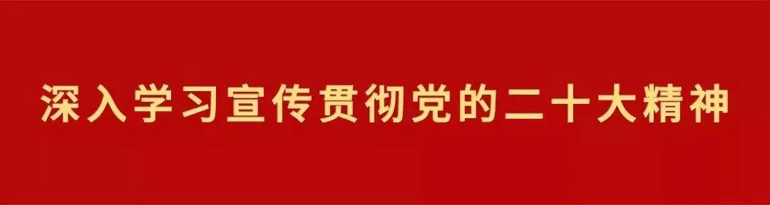 深入學習宣傳貫徹黨的二十大精神 - “黨建+” 打造過硬交警輔警隊伍