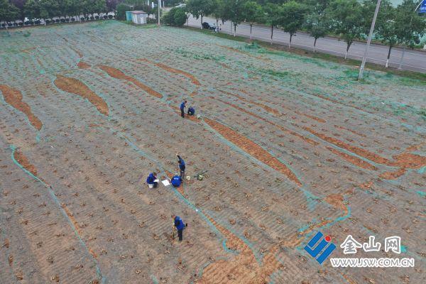 新區土儲中心：“三點”工作法推動黨建業務深度融合（黨建工作業務工作深度融合）