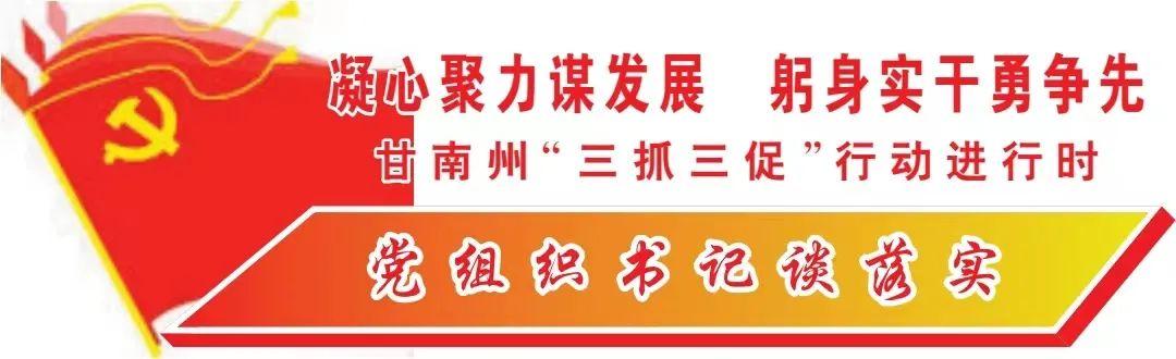 【党组织书记谈落实】王瑞芬：围绕中心抓党建 抓好党建促发展（围绕中心抓党建、抓好党建促发展）