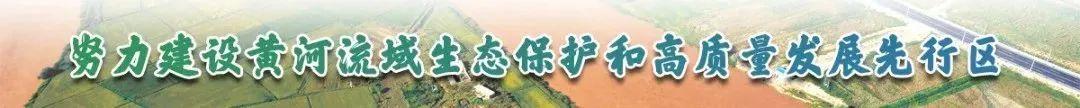 贺兰县审计局“334”举措促党建与业务深度融合（促进党建与业务深度融合）