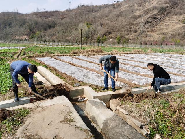 強根鑄魂 把舵揚帆—2022年漢陰縣觀音峽水利公司黨建工作綜述