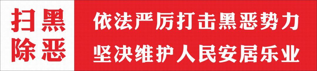 我县召开全县“抓落实系统”运行问题整改推进暨业务培训会（抓系统系统抓专项整治工作）