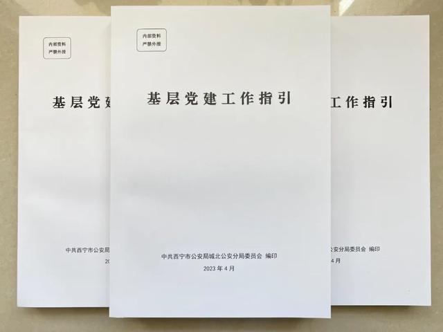 城北公安分局“四步法”积厚成势推动党建工作再上台阶（公安局党建工作推进会）