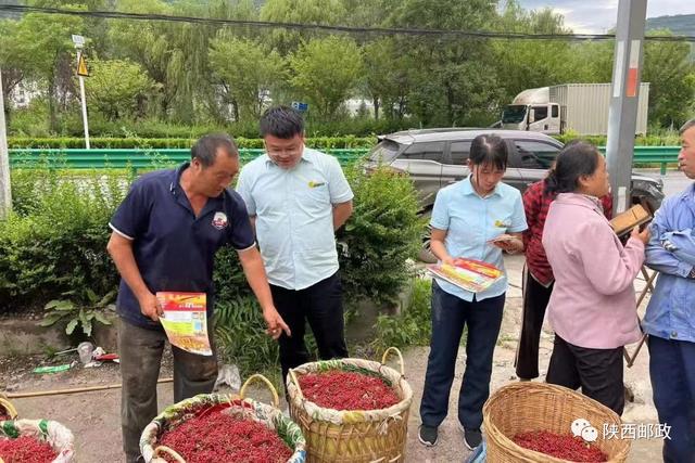 我為群眾辦實事丨黨建引領“郵政綠”護航“花椒紅”（郵政 我為群眾辦實事）