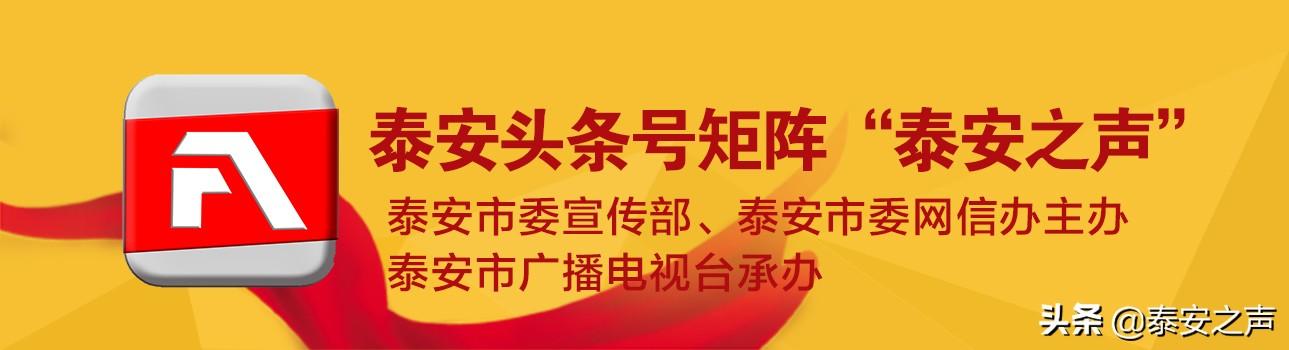 市城市管理局园林绿化处：党建引领促发展 生态绿色便民生（城市管理局园林绿化中心）