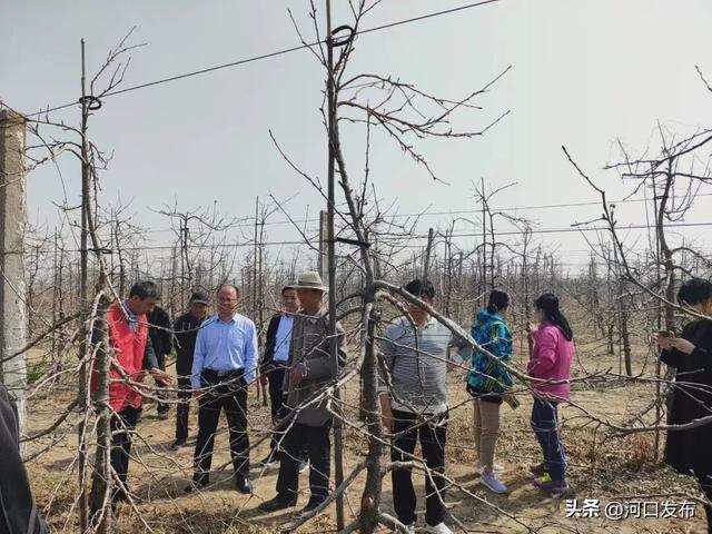 义和镇党委：“小班制”精准培育 赋能农村党员教育管理