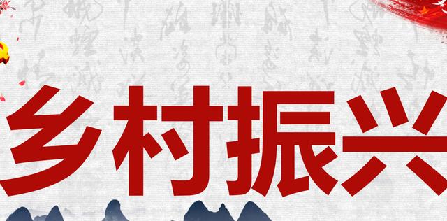 乡村振兴部分村支书存在不懂党务知识（党支部乡村振兴方面存在的问题）