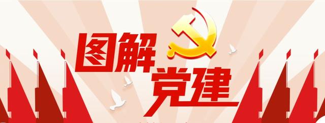 【每日党建】图解合集—党支部规范化标准化建设指南（党支部标准化规范化建设 人民日报）