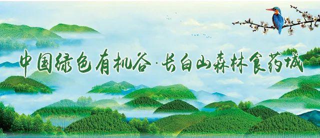 2020年白山市选派非公企业和社会组织 “党建专员”公告（白山市非公党建指导中心）