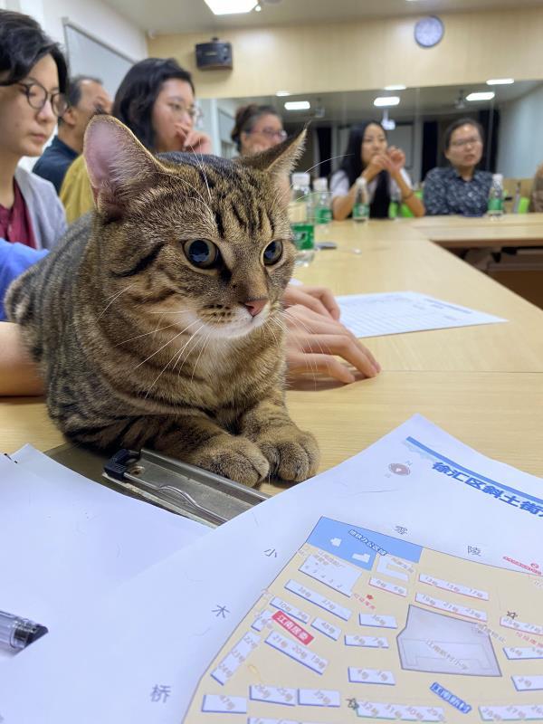 老旧小区的治理新模式：斜土街道江南新村在党建引领下构建社区善治微单元