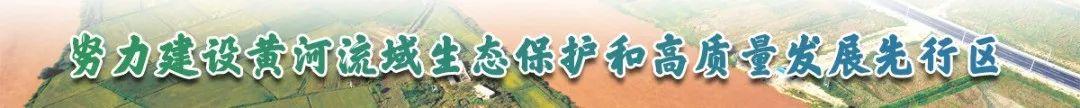 賀蘭縣：堅持“書記抓、抓書記” 促機關黨建提質增效（書記抓,抓書記,夯實黨建責任）