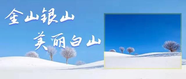 “疫”线党旗红 - 市应急管理局建立临时党支部支援社区疫情防控