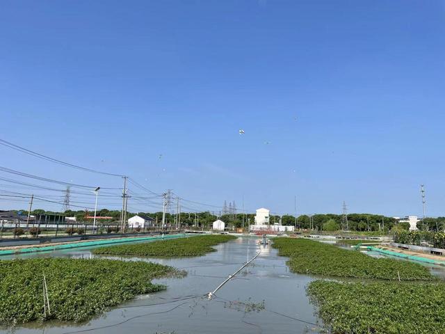 常熟深入推動黨建引領鄉村治理試點 紅色力量夯實鄉村振興“地基”