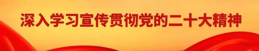 阜陽市百貨大樓黨建工作重點任務落實情況黨建工作總結（商場 黨建）