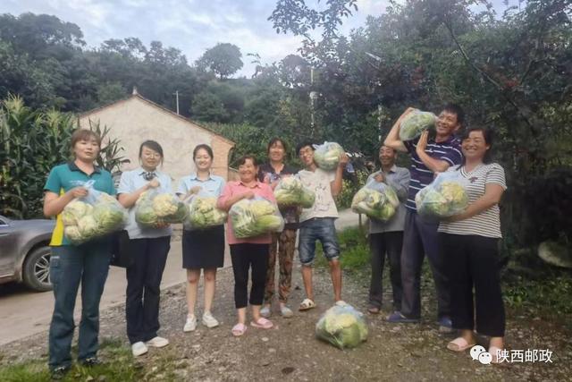 我為群眾辦實事丨黨建引領“郵政綠”護航“花椒紅”（郵政 我為群眾辦實事）