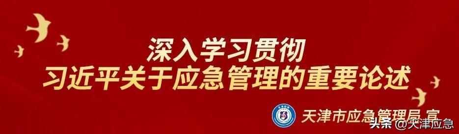 学习要论 - 全面加强应急管理系统党的建设（全面加强应急管理工作）