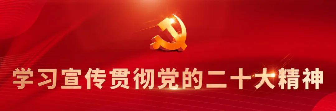 城北公安分局“四步法”积厚成势推动党建工作再上台阶（公安局党建工作推进会）