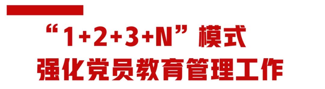 探索黨建“1+2+3+N”工作模式 打造黨建“1+3”格局（1+2+3黨建工作新模式）