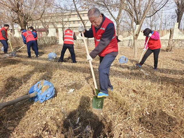 海滨街道华隆社区：党建引领聚合力 携手共同添新绿（社区党建引领促发展 凝心聚力谱新篇）