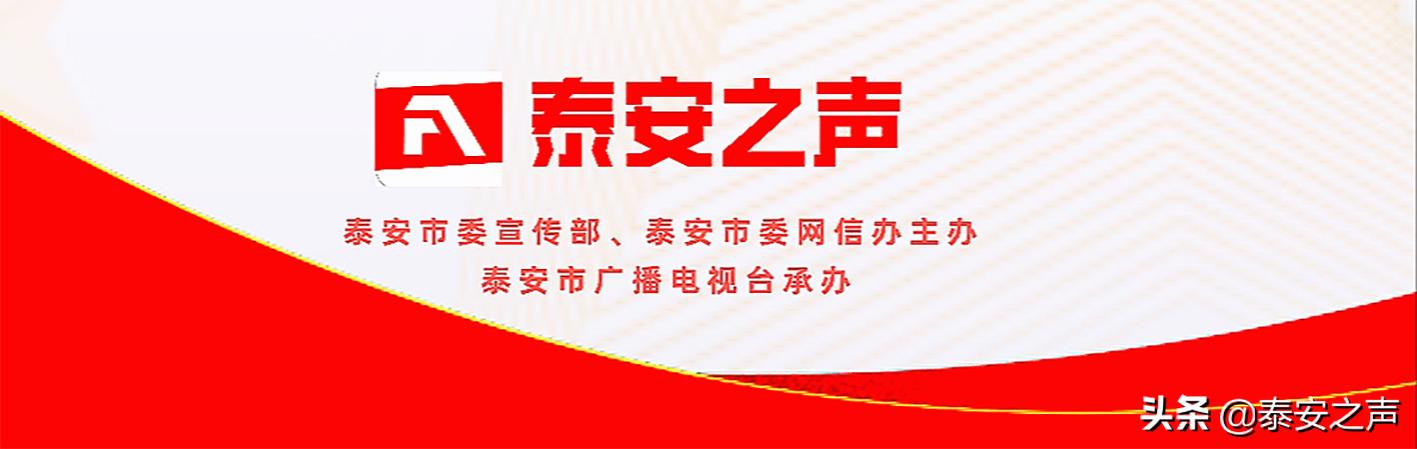 市城市管理局园林绿化处：党建引领促发展 生态绿色便民生（城市管理局园林绿化中心）