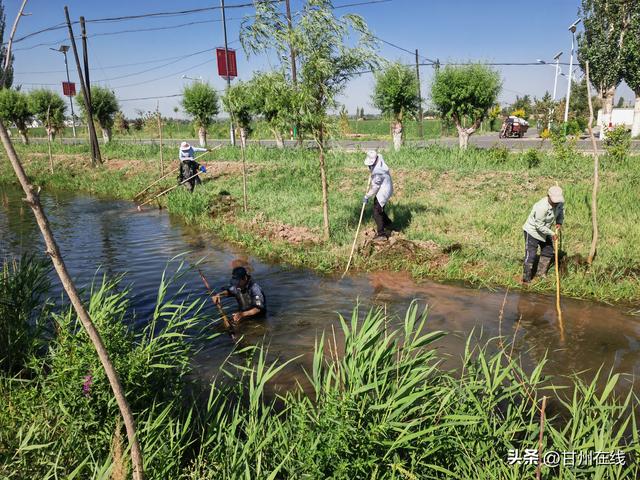 甘州区水务局乌江水利管理所：“党建引领+河道治理” 助力乡村振兴