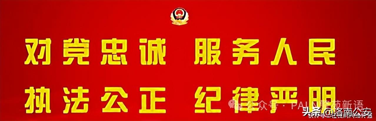 洛南公安：“三招并举”强化党建引领 提升队伍质效（强化党建引领,着力抓好队伍建设）