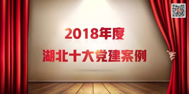 2018年度湖北十大党建案例获奖名单正式揭晓！黄冈榜上有名！（湖北十大党建案例投票）