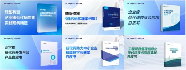 低代码赋能企业数字化转型：数百家软件公司的成功实践（“低代码开发”会是企业数字化转型的理想选择吗）