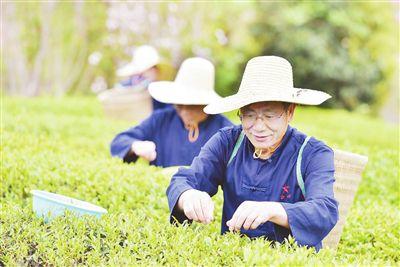 一所“沒有圍墻”的干部學院（一所沒有圍墻的干部學院）