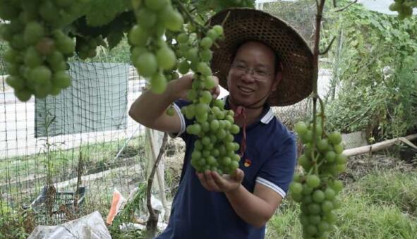 攻坚路上且看三位村干部如何抓党建促脱贫？（村级如何抓党建促脱贫）