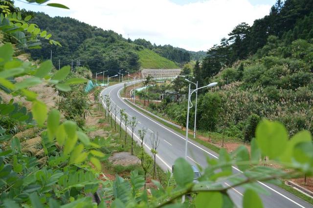 扶貧攻堅(jiān)為民 履職盡責(zé)抗疫——江西贛州市公路局尋烏分局以“四個(gè)發(fā)揮”工作理念推進(jìn)黨建工作